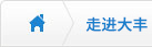 關于大豐